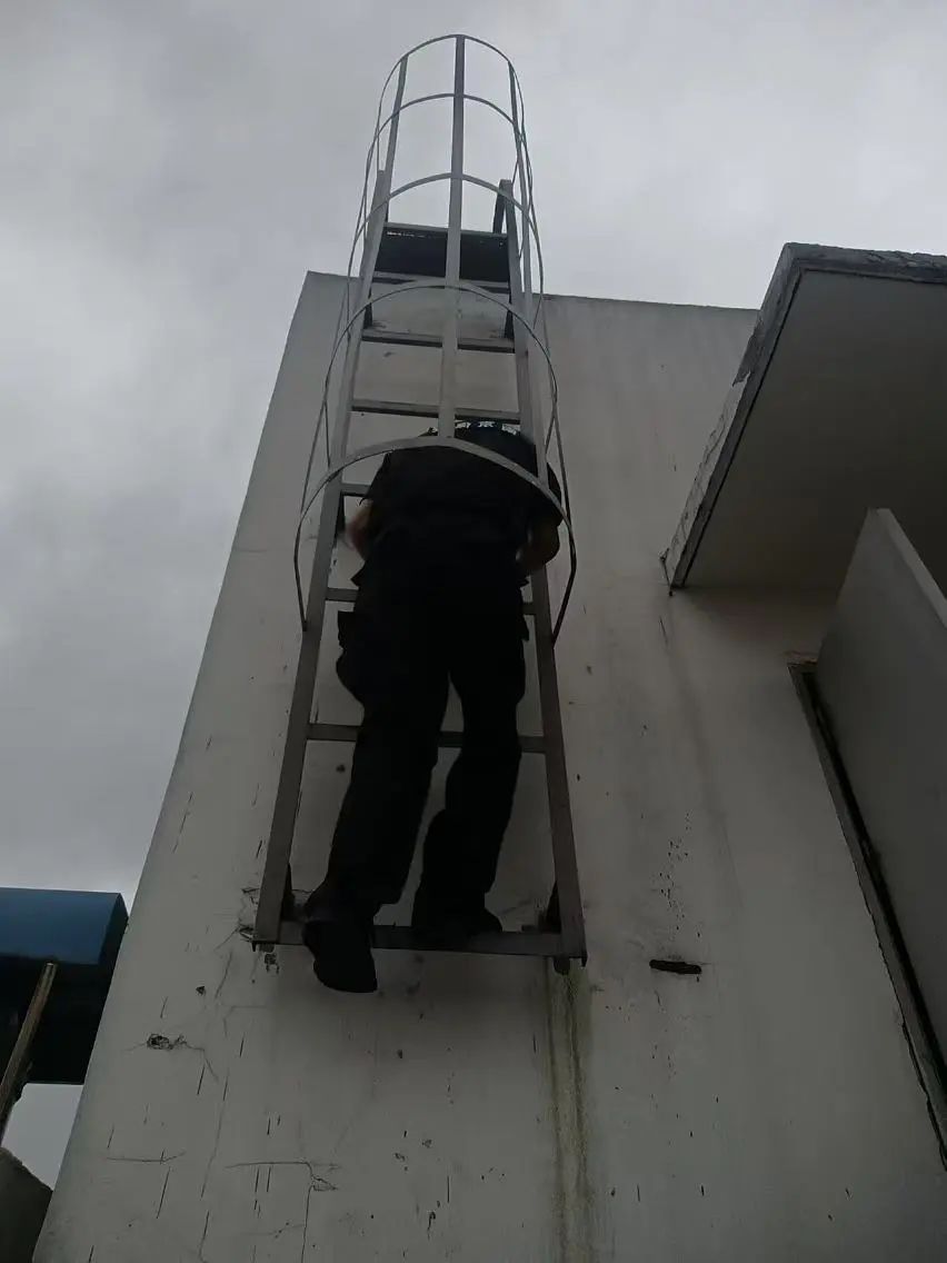 C:/Users/BA/Desktop/風(fēng)雨過后南京保安迅速行動(dòng)，恢復(fù)安“寧”面貌/3.jpg3