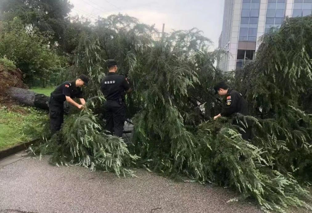 C:/Users/BA/Desktop/風(fēng)雨過后南京保安迅速行動(dòng)，恢復(fù)安“寧”面貌/1.jpg1